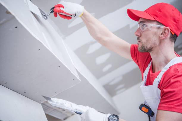 Best Ceiling Drywall Installation  in Douglass, KS